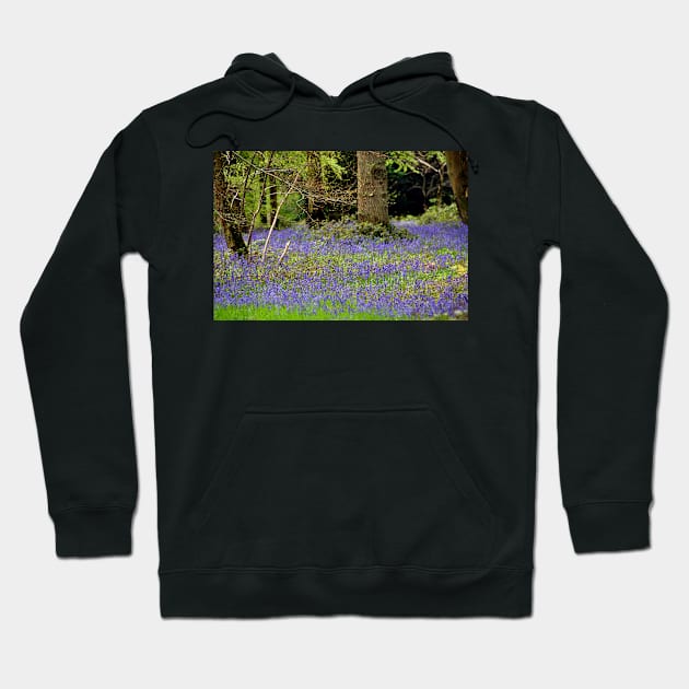 Bluebell Woods Basildon Park Berkshire UK Hoodie by AndyEvansPhotos